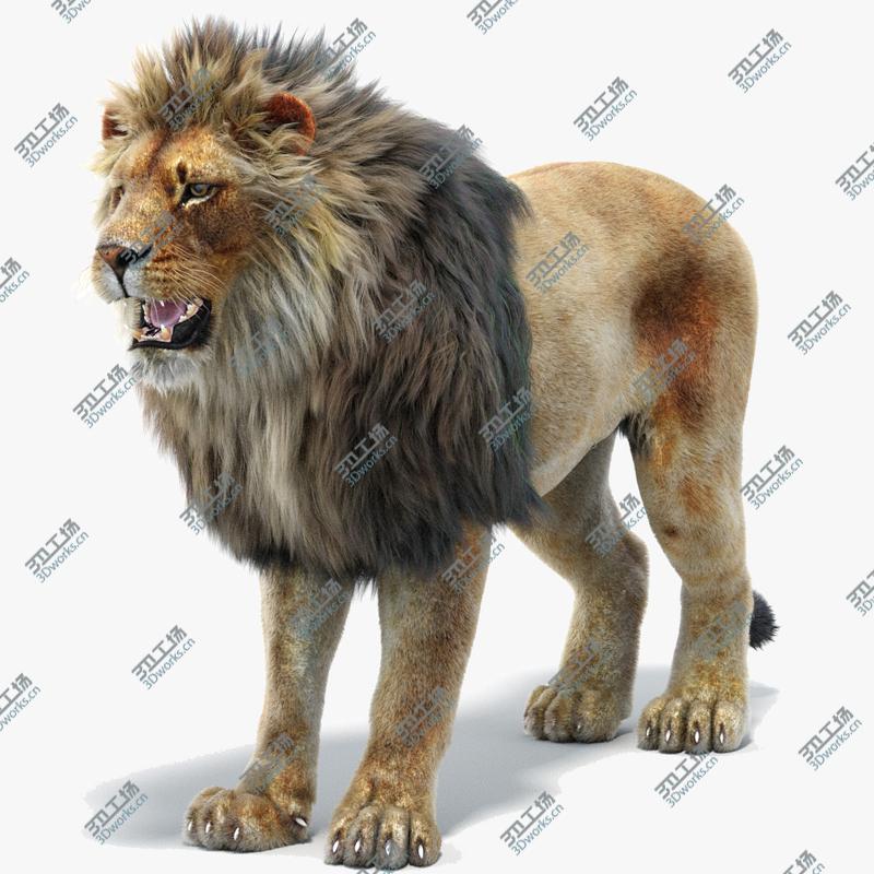 images/goods_img/202104022/Lion 2 (Fur)/1.jpg